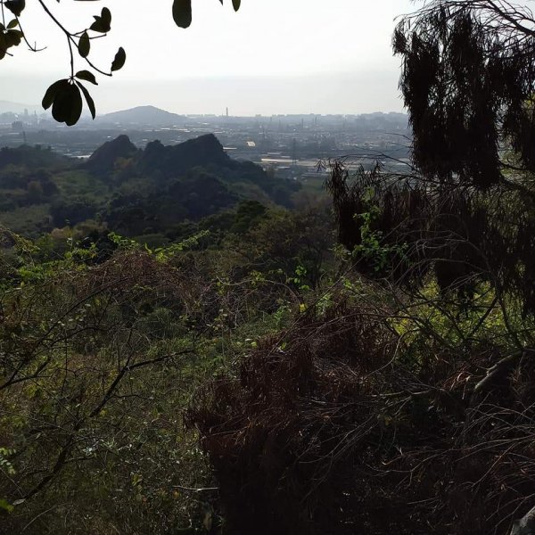 高雄觀音山步道1299276