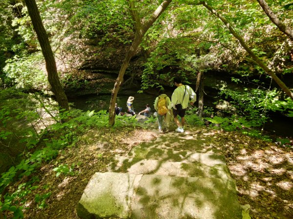 [美國行-06] 2026_0510 火雞跑步州立公園-步道三3059126