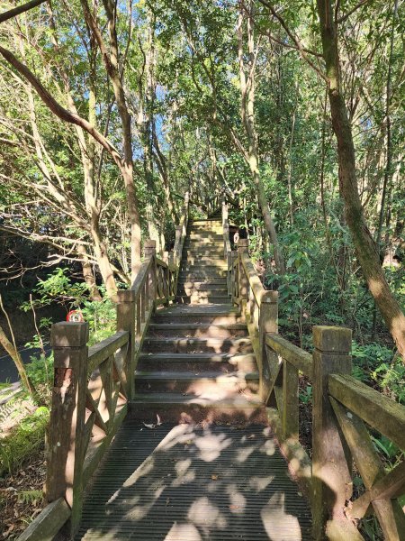 小百岳No.20⛰獅仔頭山2917924