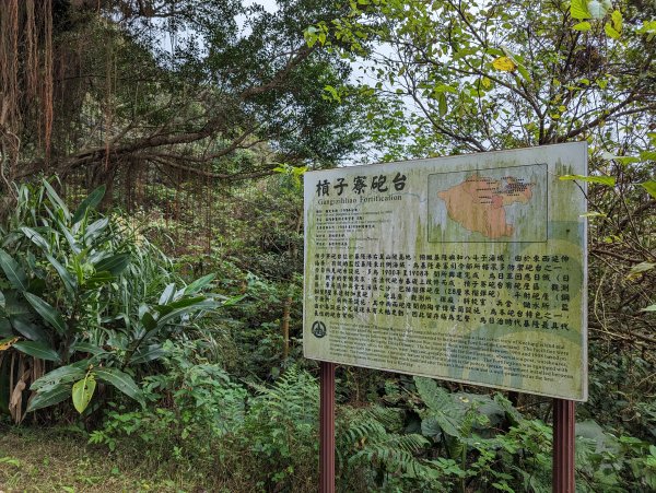 2023-02-11 槓子寮砲台、槓子寮山步道（龍崗步道）2792628