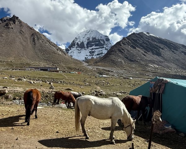 西藏-崗仁波齊轉山/珠峰大本營5200米2897681