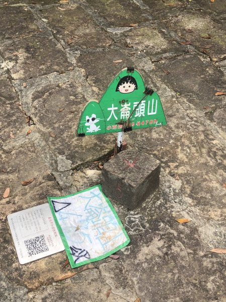 大崙頭山，親民小百岳健行1729680