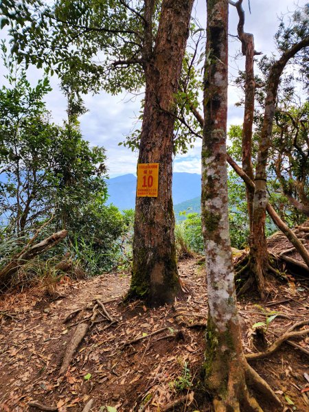 小百岳集起來-向天湖山2183020