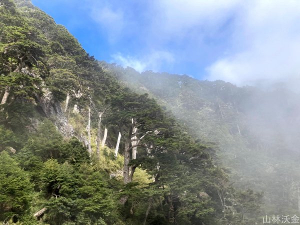 2023-11-27 玉山主峰2365059