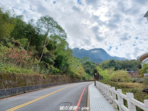 【南投。鹿谷】陡上陡下換美景相送。 小百岳集起來。 編號53小百岳溪頭鳳凰山步道1614359