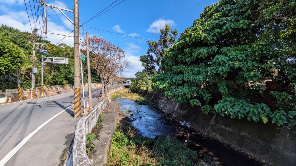 大古山登山步道2365630