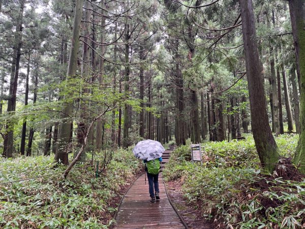 1140811 KR 漢拏山杜鵑花田避難所-紗羅岳觀景臺2860100