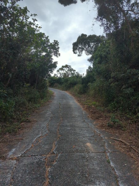 2025.02.28－巴塱衛山2728087