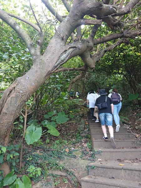 龜山島登頂-環湖-繞島1081199