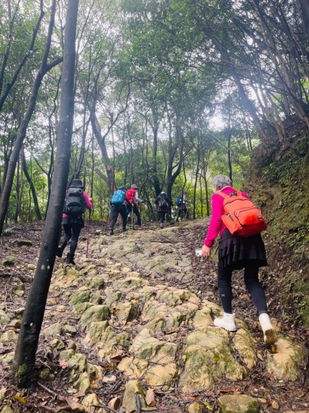 1131225新山夢湖2676509