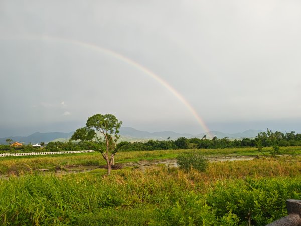 白河店仔口景觀公園2877467