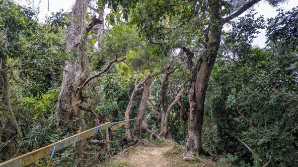 【台灣健行】台中天際線、南觀音山2695730