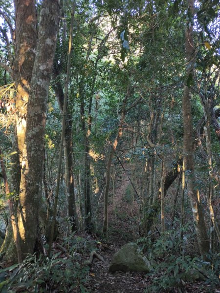 2024.02.01 凌空廊道登煤源山2843949