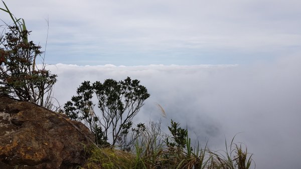 苗栗獅潭仙山509375