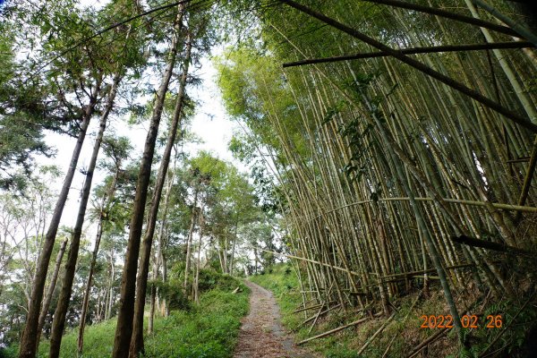 嘉義 阿里山 卓武山1623076