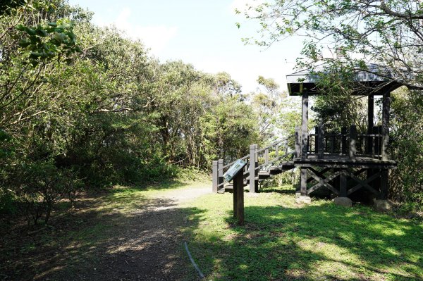 新北 八里 觀音山、牛港稜山2681373
