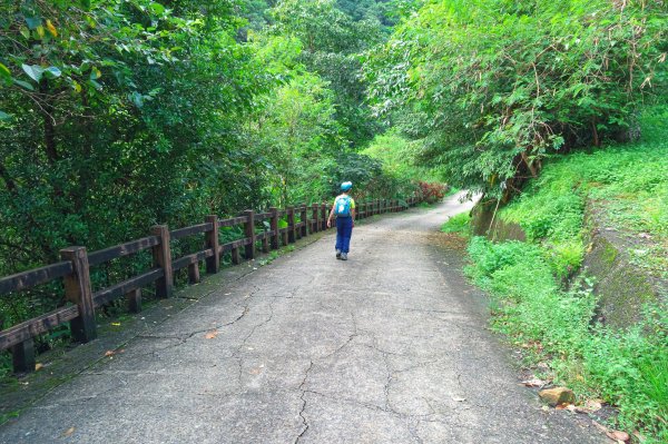 淡蘭古道中路之中坑、崩山坑古道O型685805