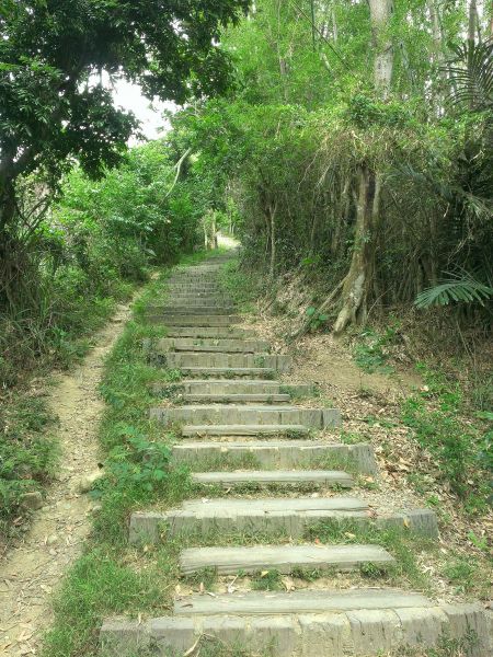 咬人狗登山步道-汪汪338711