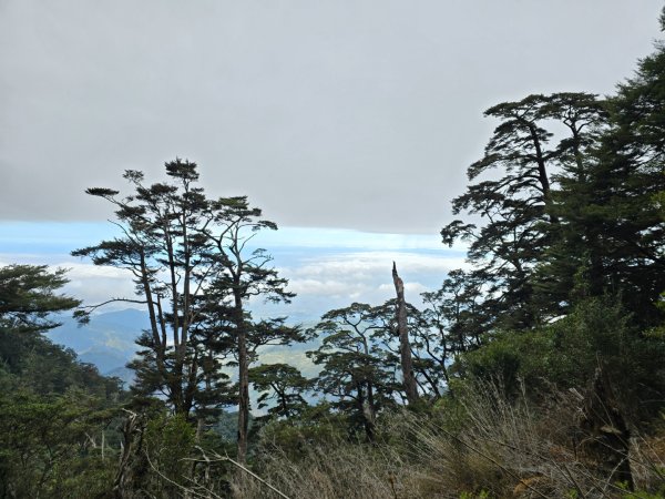 北大武山（喜多麗斷崖）雲海、雲霧、耶穌光之美2467686