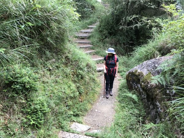 東埔山步道169714