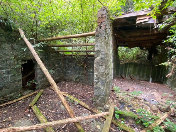 2025/09/07 大屯溪古道2926726