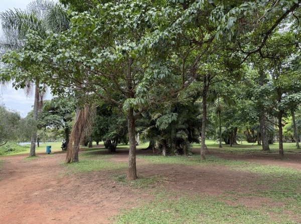 [紐約馬之行-69] 2025_1116 伊比拉布埃拉公園-下2955170