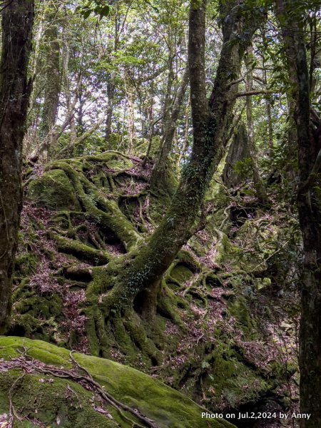 加里山好精彩2547379