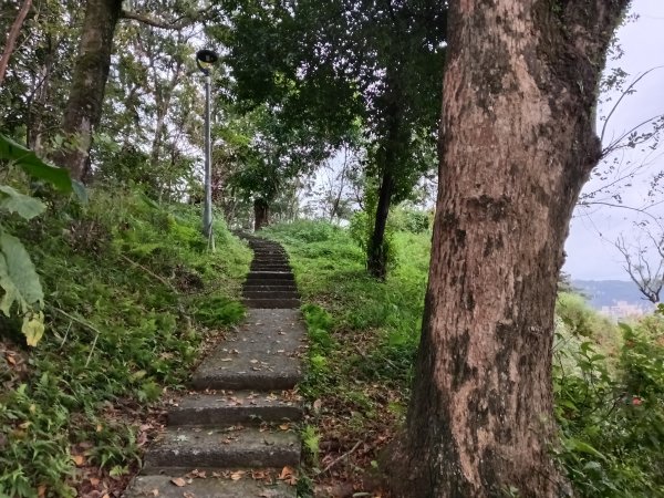汐止區小南港山(橫科山)+白匏湖+白匏湖山+白雲古道2970615