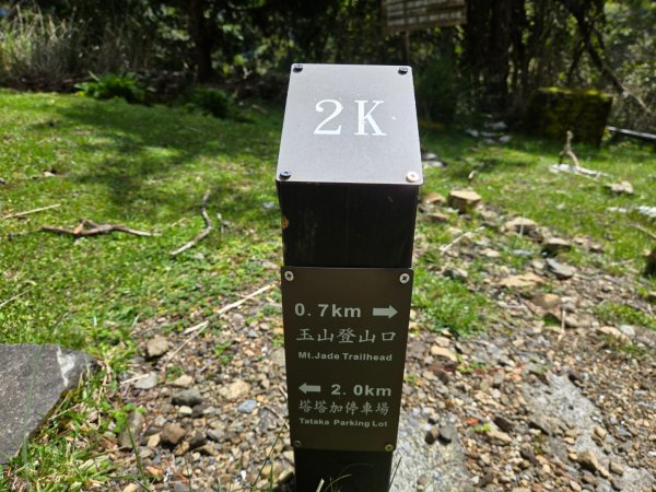 塔塔加步道（大鐵杉登山步道）2883102