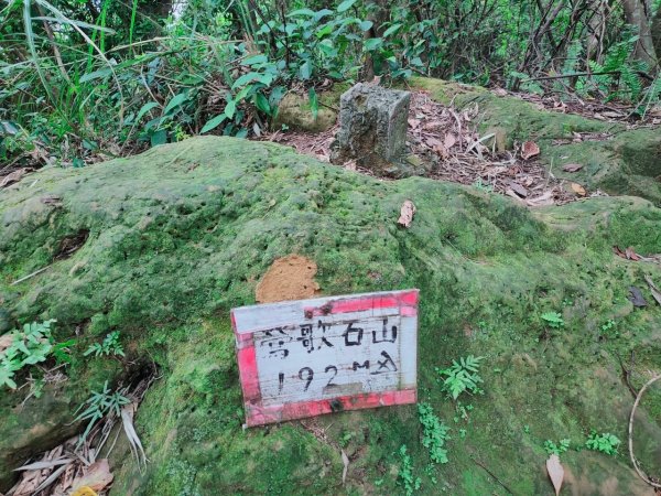 ［雙牛縱走］（牛埔山+牛灶坑山）（連走6山）（2023/11/19）2358591