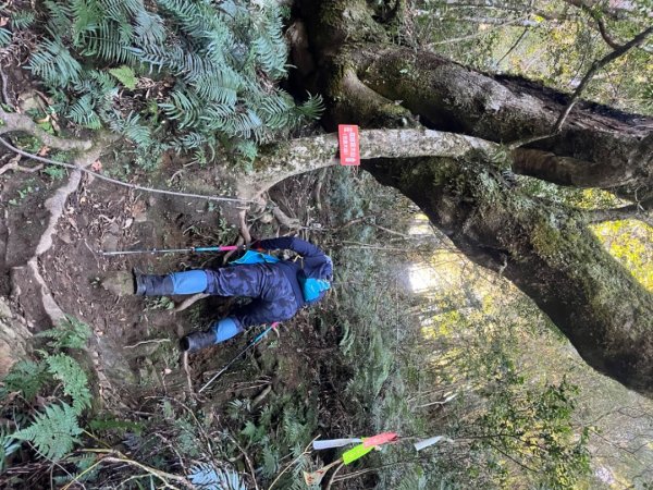霞喀羅古道-石鹿進-白石駐在所兩天一夜2683884
