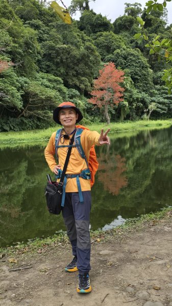 2024月眉落羽松季絕美登場，季節限定，免入園費免停車費，怎麼拍都美，不用出國就能拍繽紛大景。2668336