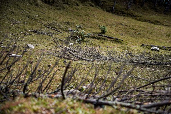 戒茂斯上嘉明湖三天兩夜2769409