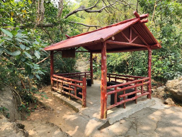 小百岳No.77⛰壽山3025167