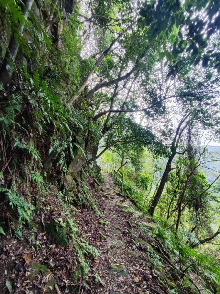 汐止大尖山-秀峰瀑布2684796