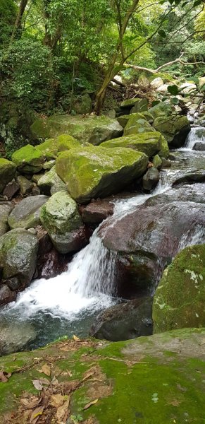 石門青山瀑布步道595544