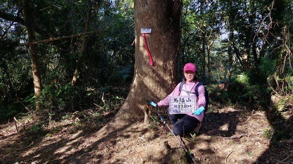 (姨婆趴趴走)第四十六集:新竹關西赤柯山及南峰、東西獅頭山、馬福山環狀縱走2685809