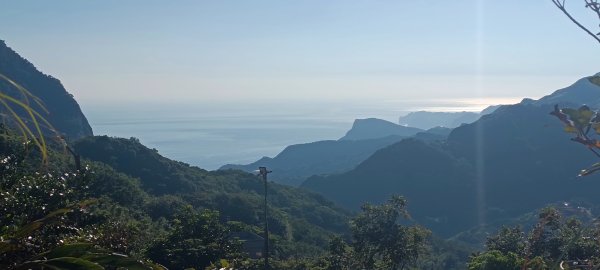 2024/08/03_基隆山步道2563757