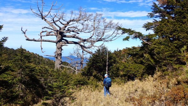 雪山西峰/博可爾山/翠池三叉山與五翠池悠閒走探的山遊記(三日)2838510