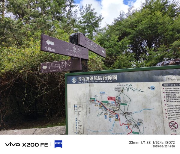 [玉山尋寶任務-05/12] 2025_0823 塔塔加步道(大鐵杉登山步道)2869640