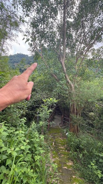 941（旗尾山2905653