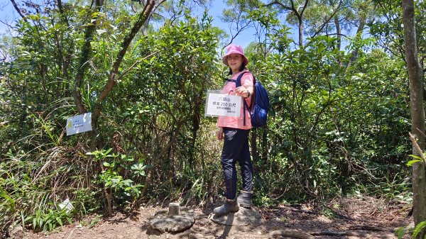 (姨婆趴趴走)第四十三集:攀登連走奇岩山、軍艦岩、丹鳳山2499548