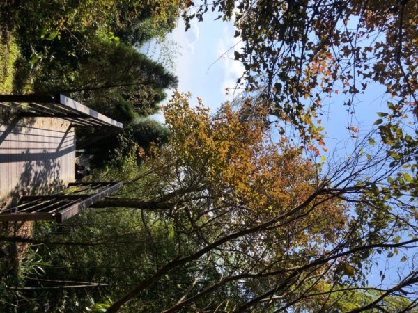 嘉義縣番路鄉二延平山1965561