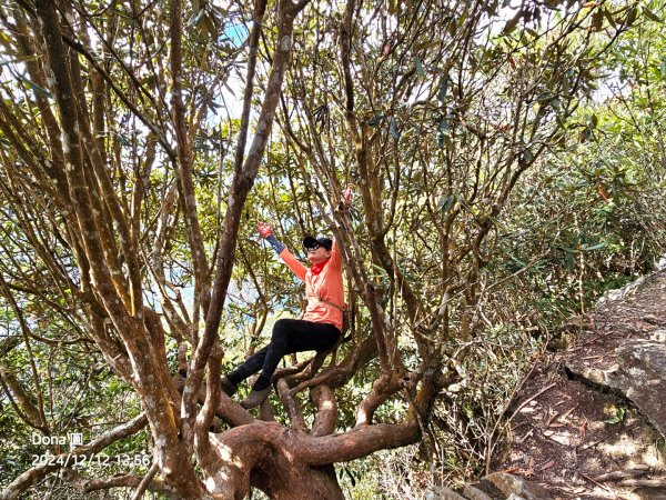 【谷關七雄】波津加(H1771.6m)肉腳配速成功2670481