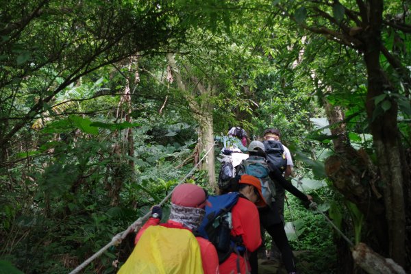 跟著創意去淨山706758