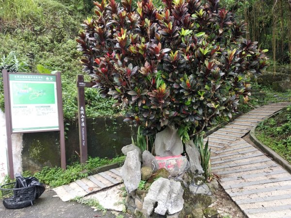 崁頭山步道1007155