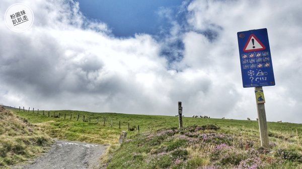 【勇氣2.0朝聖之旅】 D1庇里牛斯山賞雲海652986