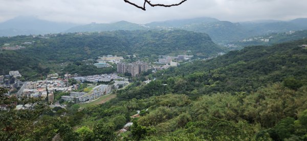 阿哲/小黑3031499