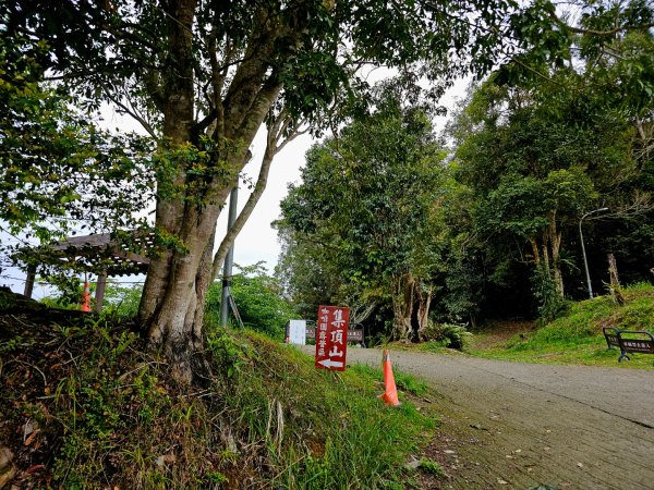 藤枝山-小百岳#68-高雄市桃源區2750317