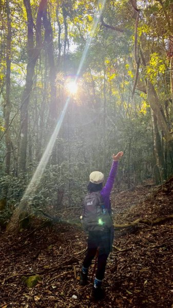 🌈11/15（六）松鶴上八仙山下森林遊樂區✨FB：熊熊趴爬走🌈2937678